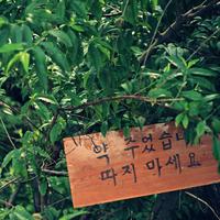 외가댁3