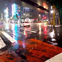 비에 비친 도쿄
