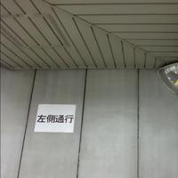 똑똑하다