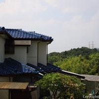 모허절벽