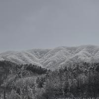 산수화