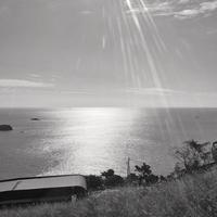 모노레일
