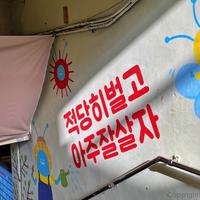 적벌아잘