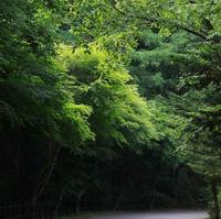 산책
