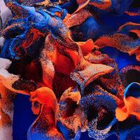Unsupervised Fluid