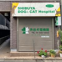 동물병원