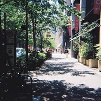 일본, 여름