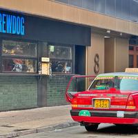Brewdog
