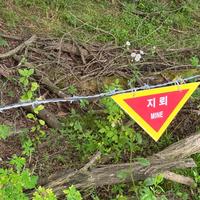 지뢰
