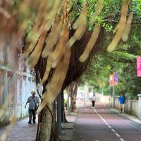 산책